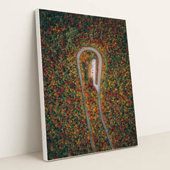 Season’s Arc by Martin Sanchez - White Frame Stretchiez