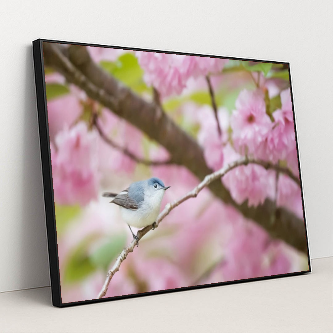 Spring Perch by Ray Hennessy - Black Frame Stretchiez