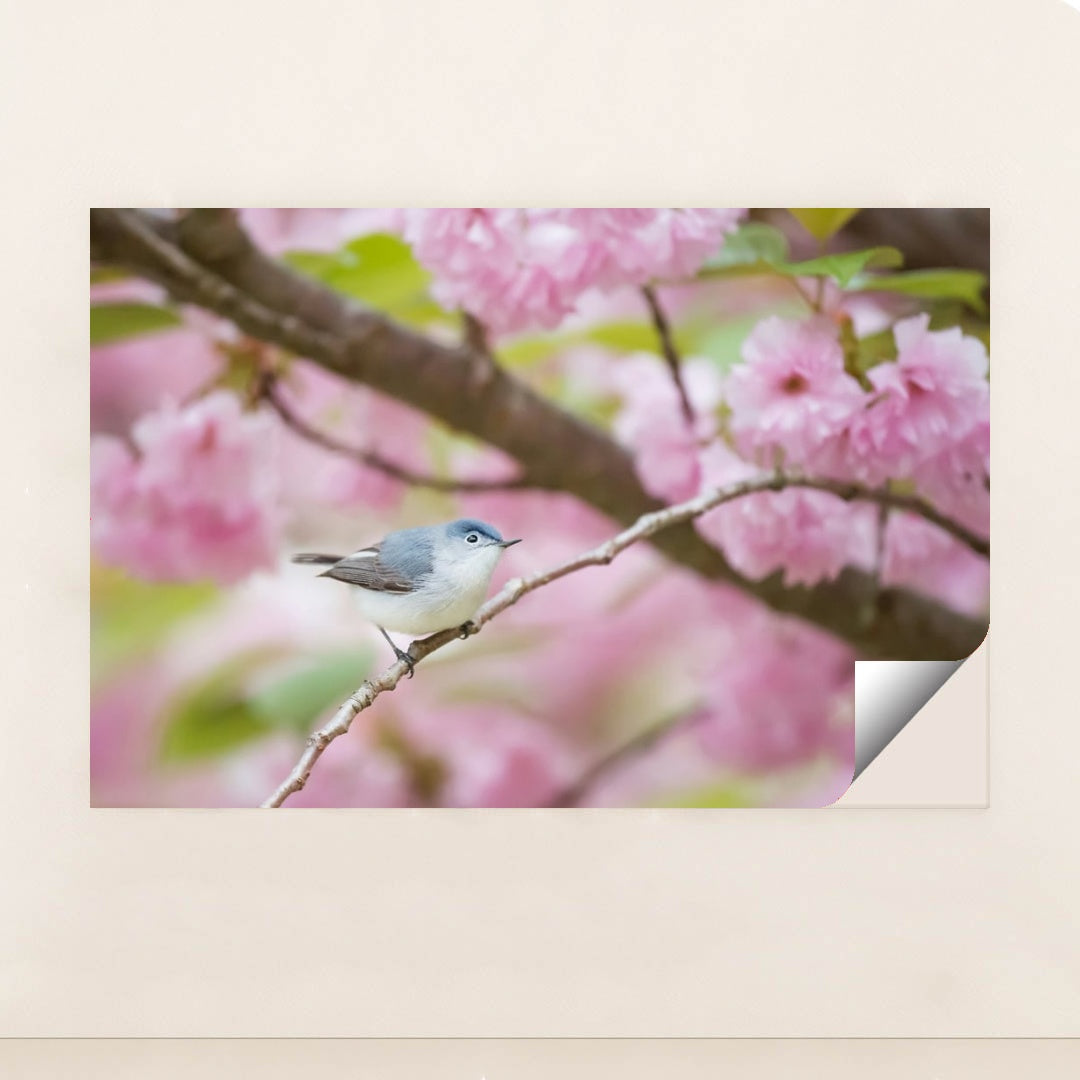 Spring Perch by Ray Hennessy - Peeliez