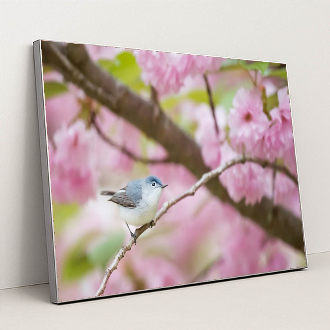 Spring Perch by Ray Hennessy - Silver Frame Stretchiez
