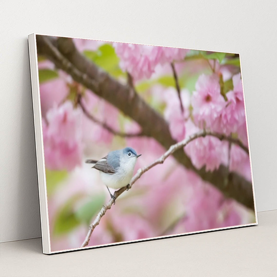 Spring Perch by Ray Hennessy - White Frame Stretchiez