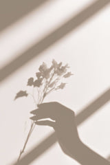 6492 - Product Image