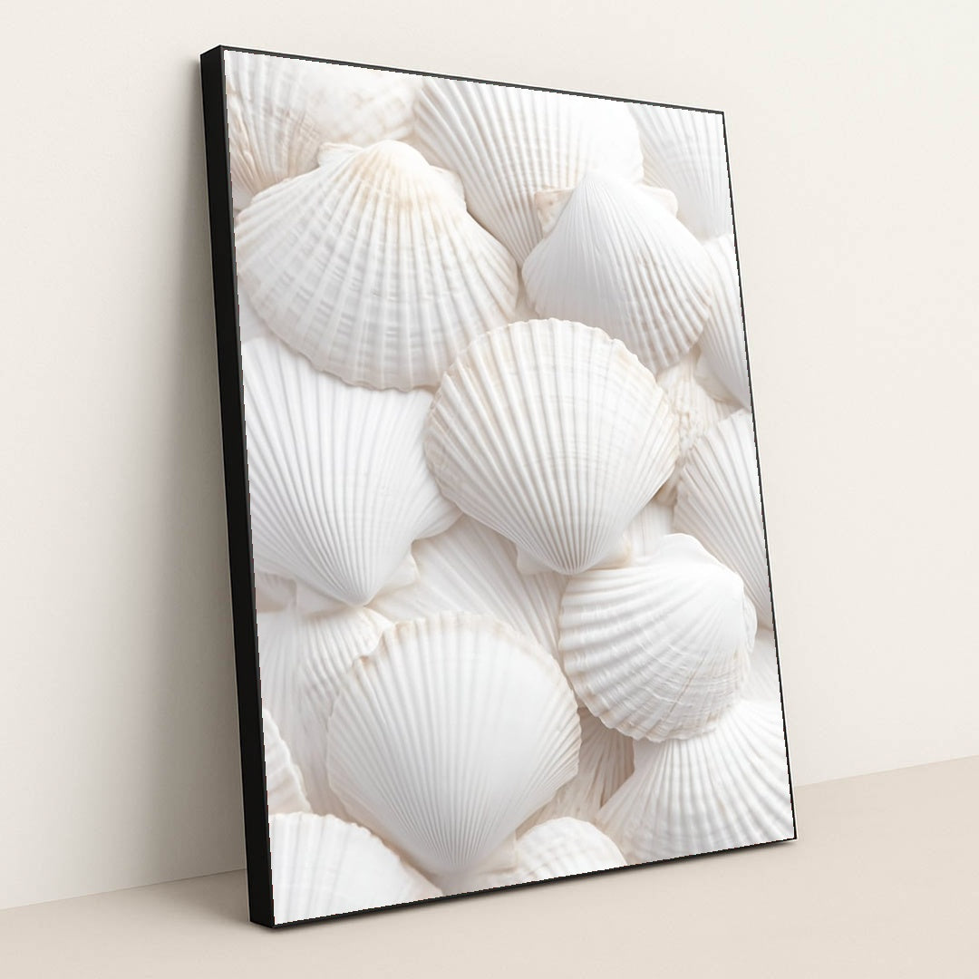 Shell's Embrace by Mistline - Black Frame Stretchiez