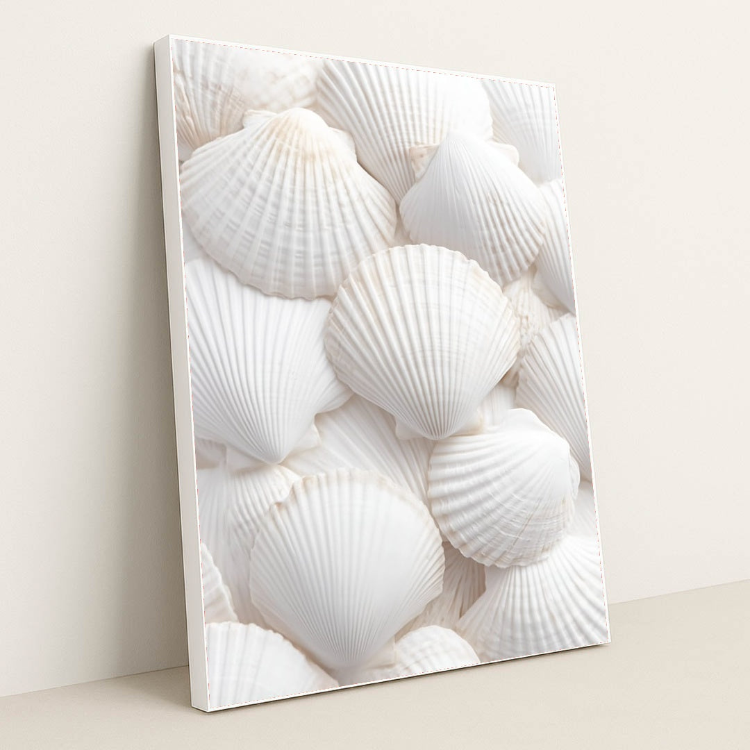 Shell's Embrace by Mistline - White Frame Stretchiez