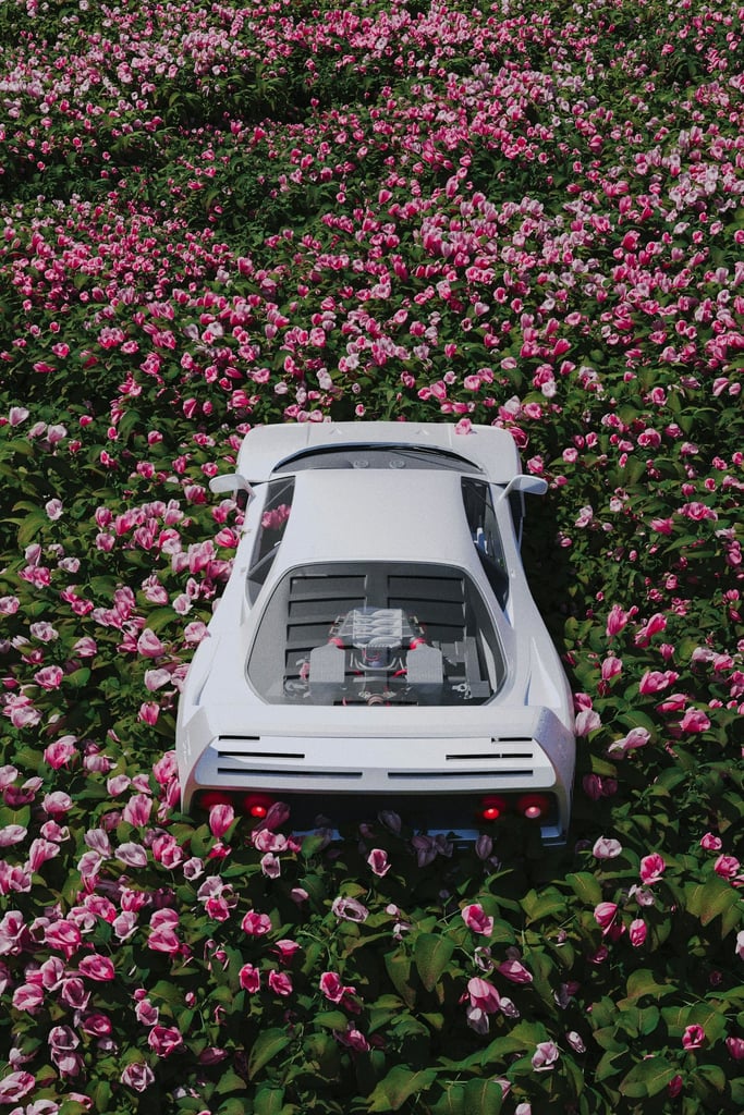 Supercar in Bloom by dolce