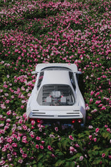 Supercar in Bloom by dolce