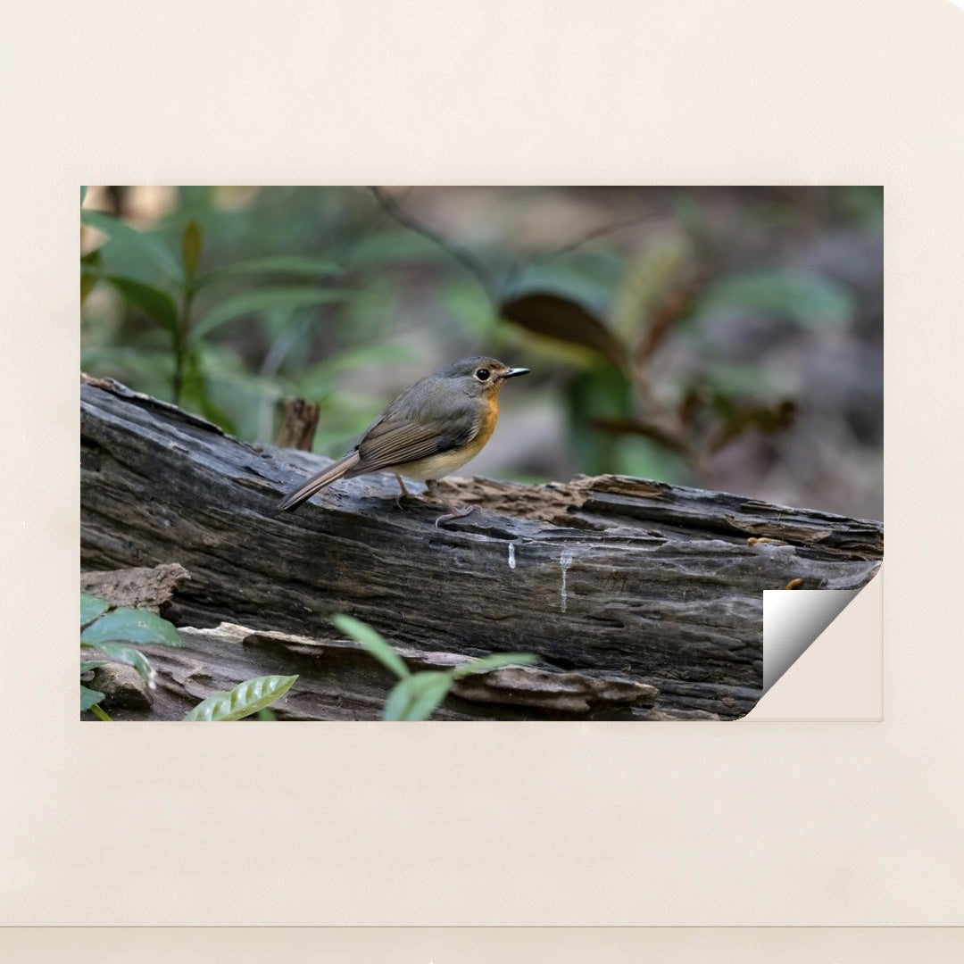 7090232557603 - Product Image