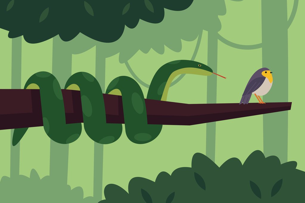 Andania Humaira - A bird sitting on a tree branch in a forest