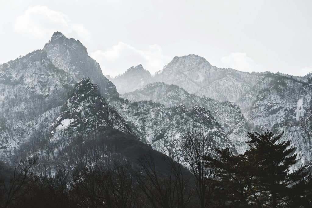 Snow-Covered Mountain Peaks with Pine Trees in Winter by 정규송 Nui MALAMA