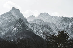 Snow-Covered Mountain Peaks with Pine Trees in Winter by 정규송 Nui MALAMA
