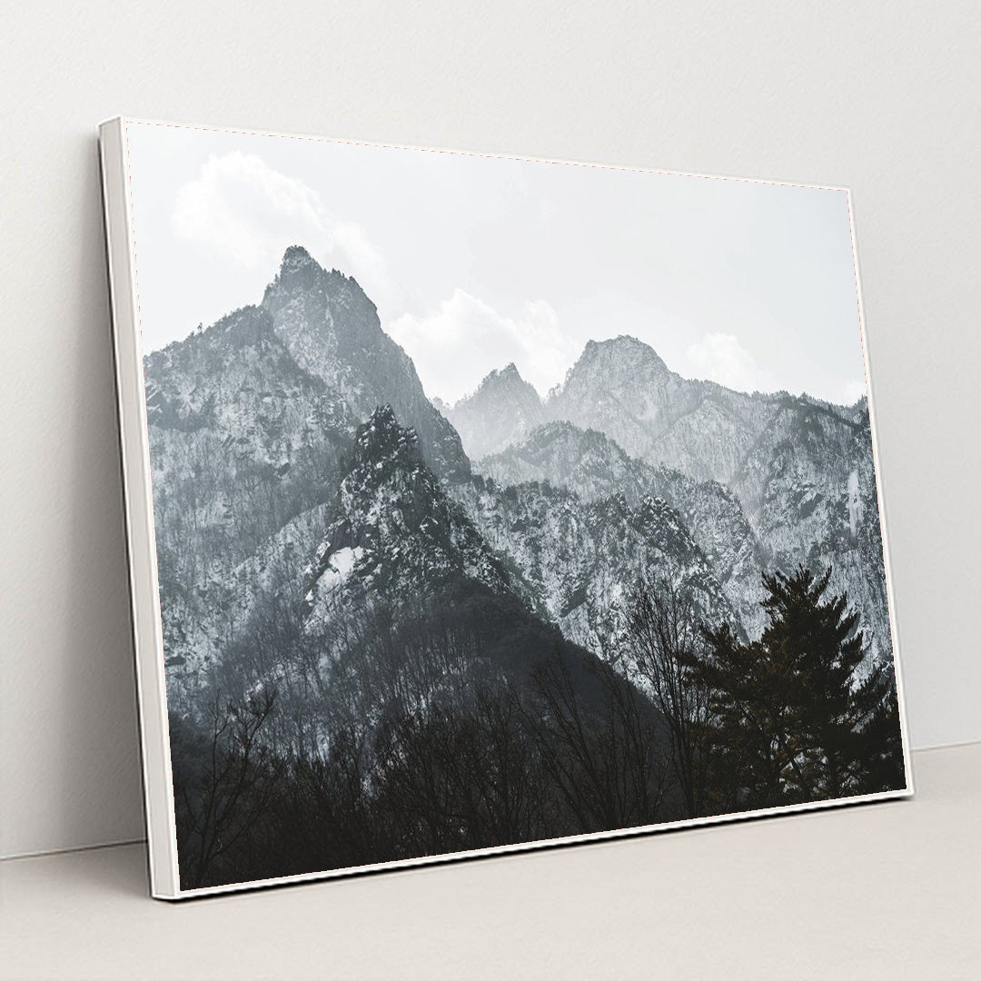 Snow-Covered Mountain Peaks with Pine Trees in Winter by 정규송 Nui MALAMA - White Frame Stretchiez