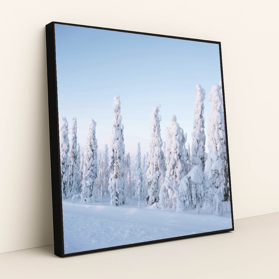 7090356355107 - Product Image