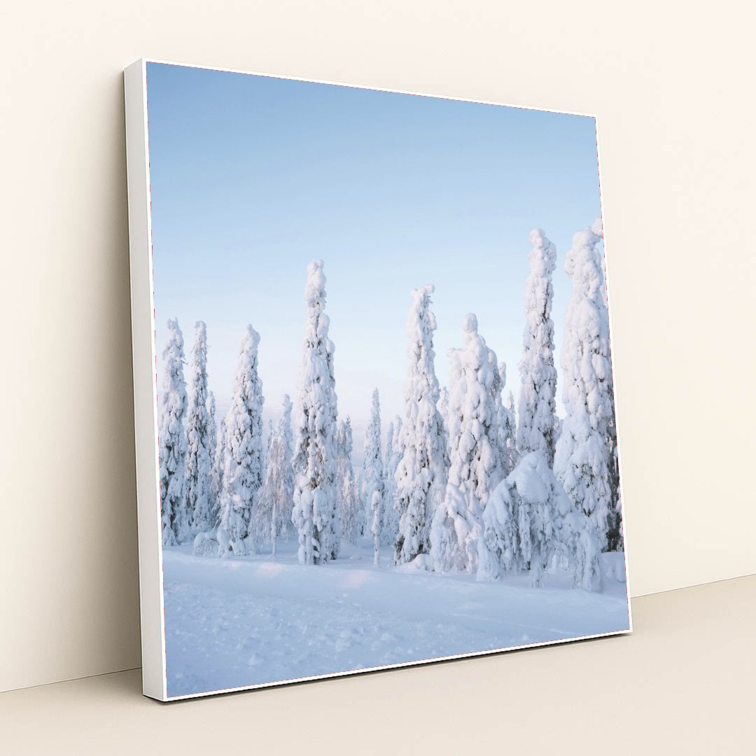 7090356355107 - Product Image