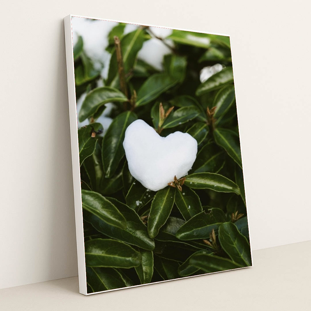 7090330370083 - Product Image