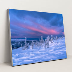 Snow Waves on the Ridge by Daniel Mirlea - Silver Frame Stretchiez