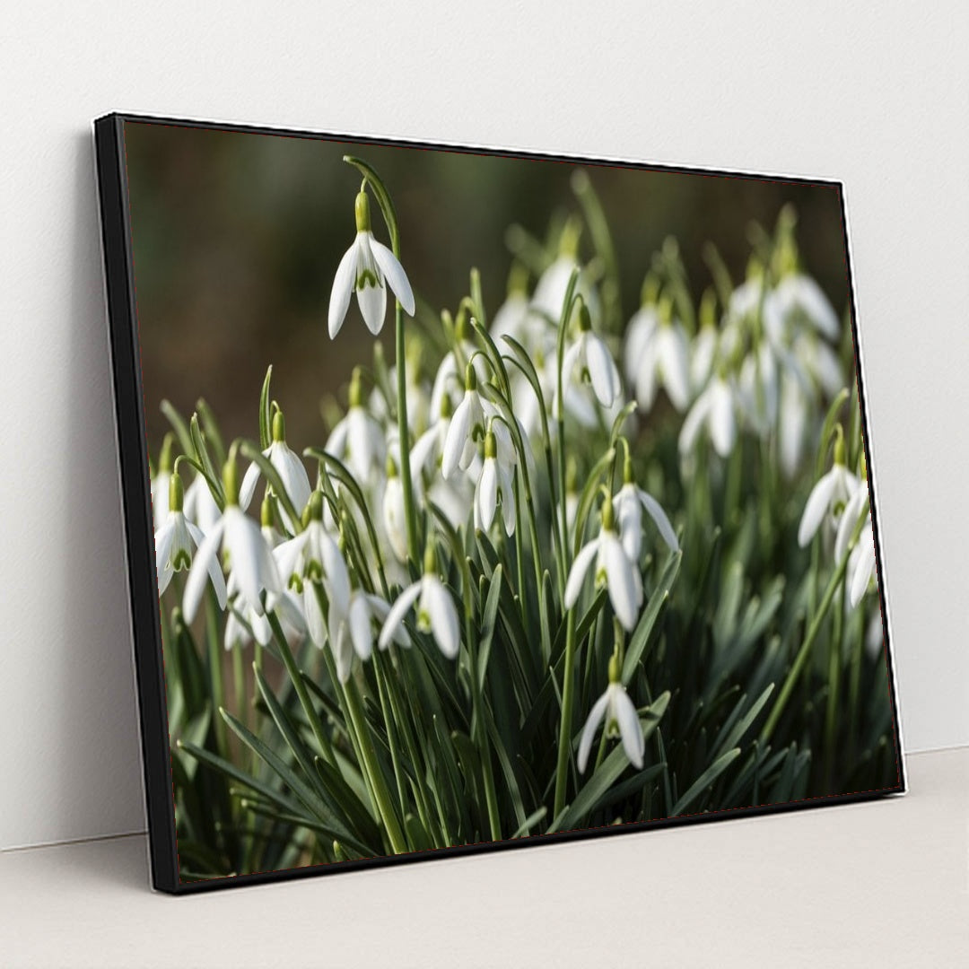 7090345639971 - Product Image