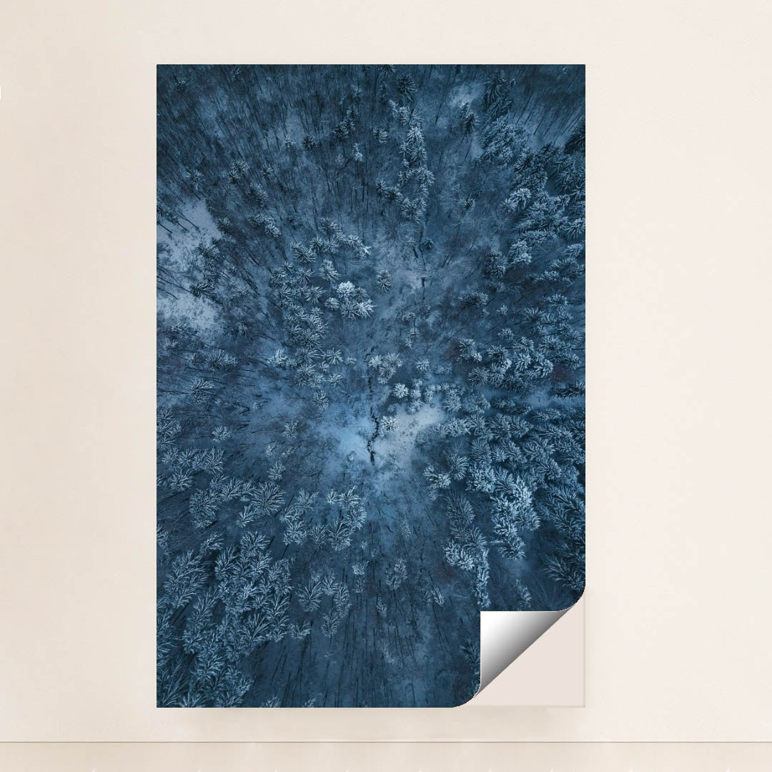 6365 - Product Image