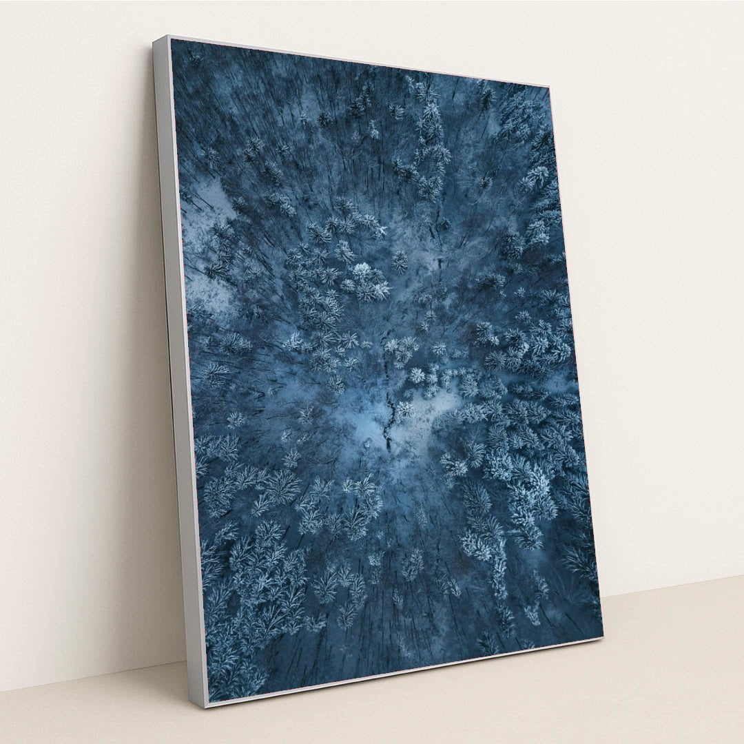 6365 - Product Image