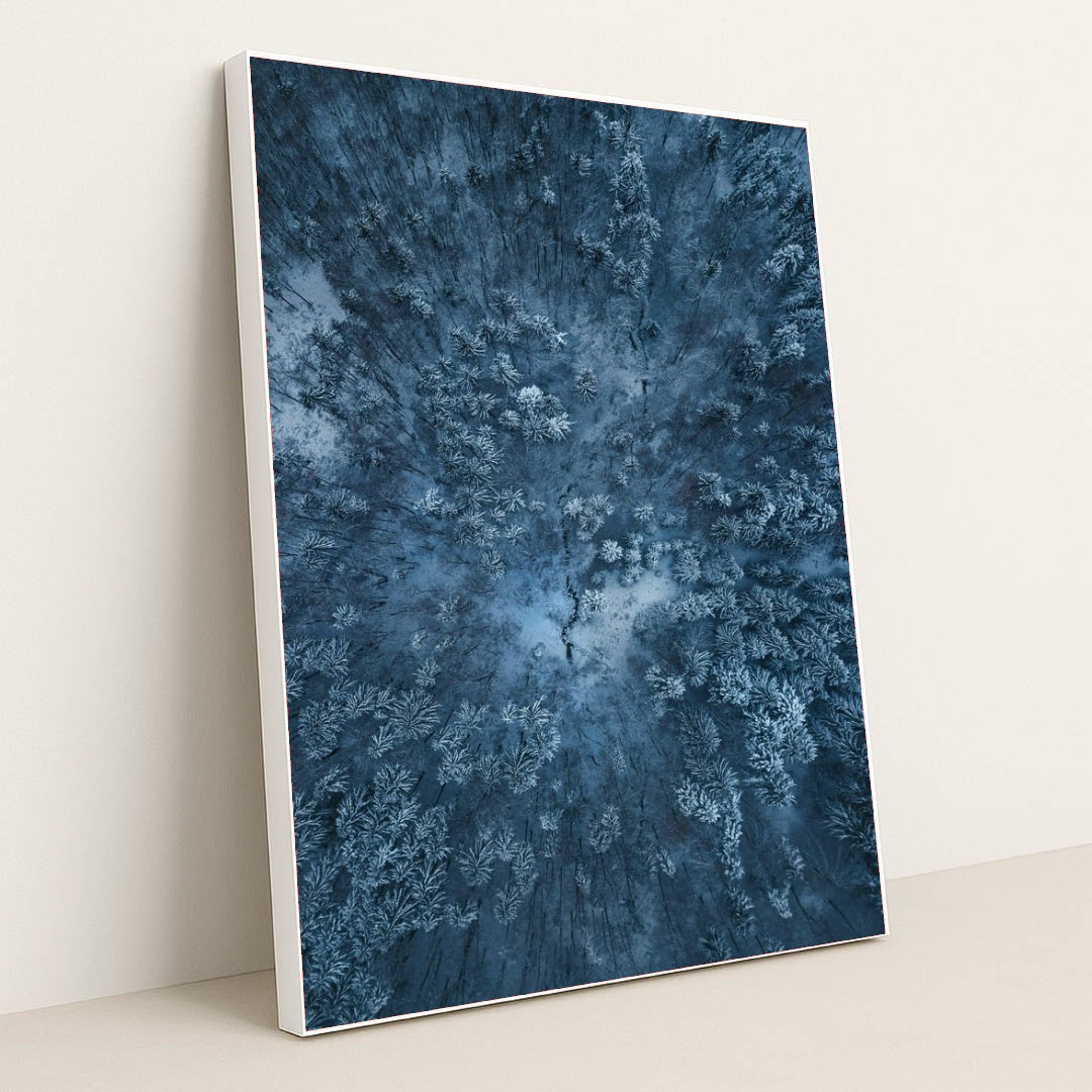 6365 - Product Image