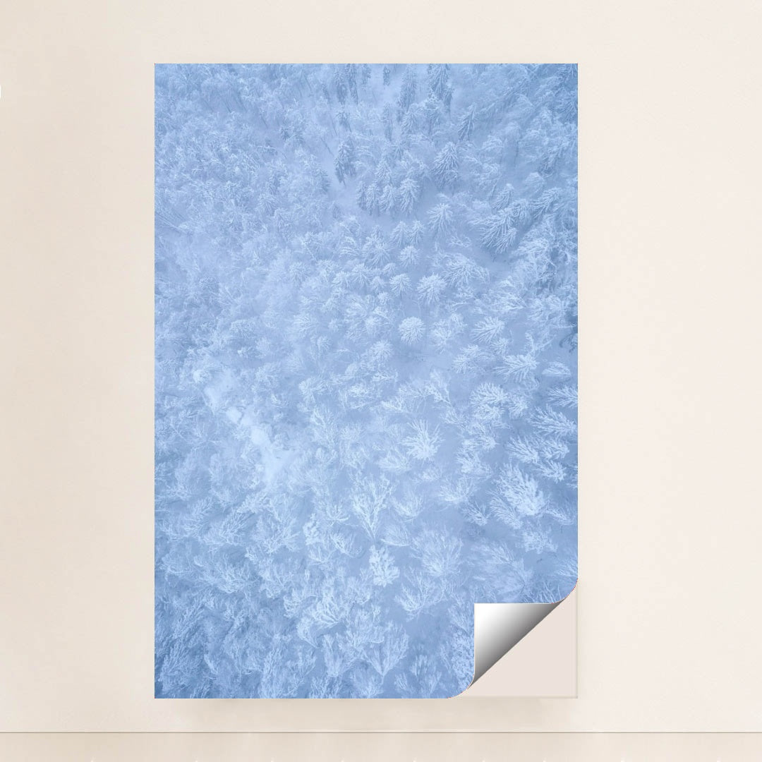 6370 - Product Image