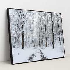 7090804064291 - Product Image