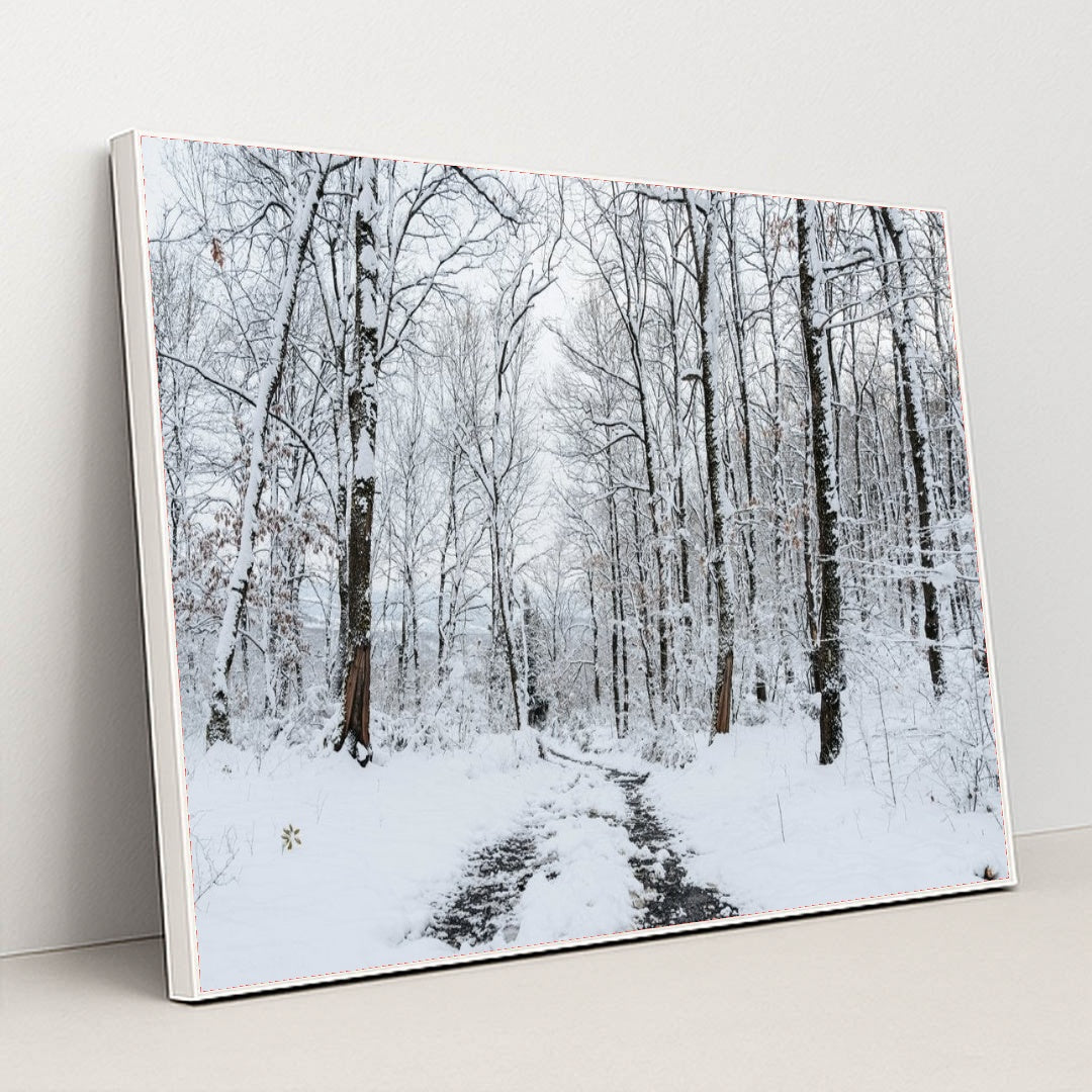 7090804064291 - Product Image