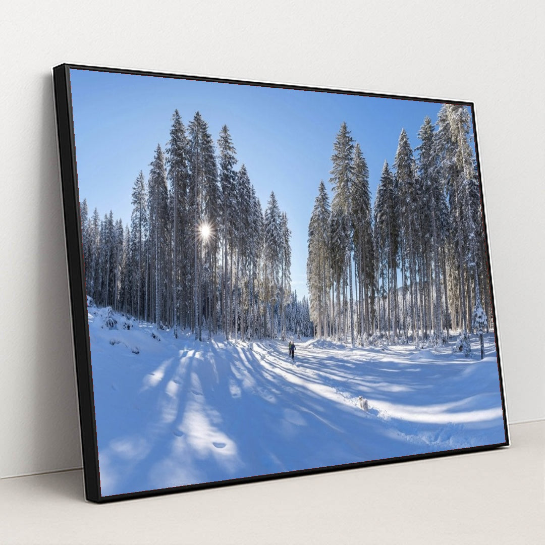 7090349604899 - Product Image