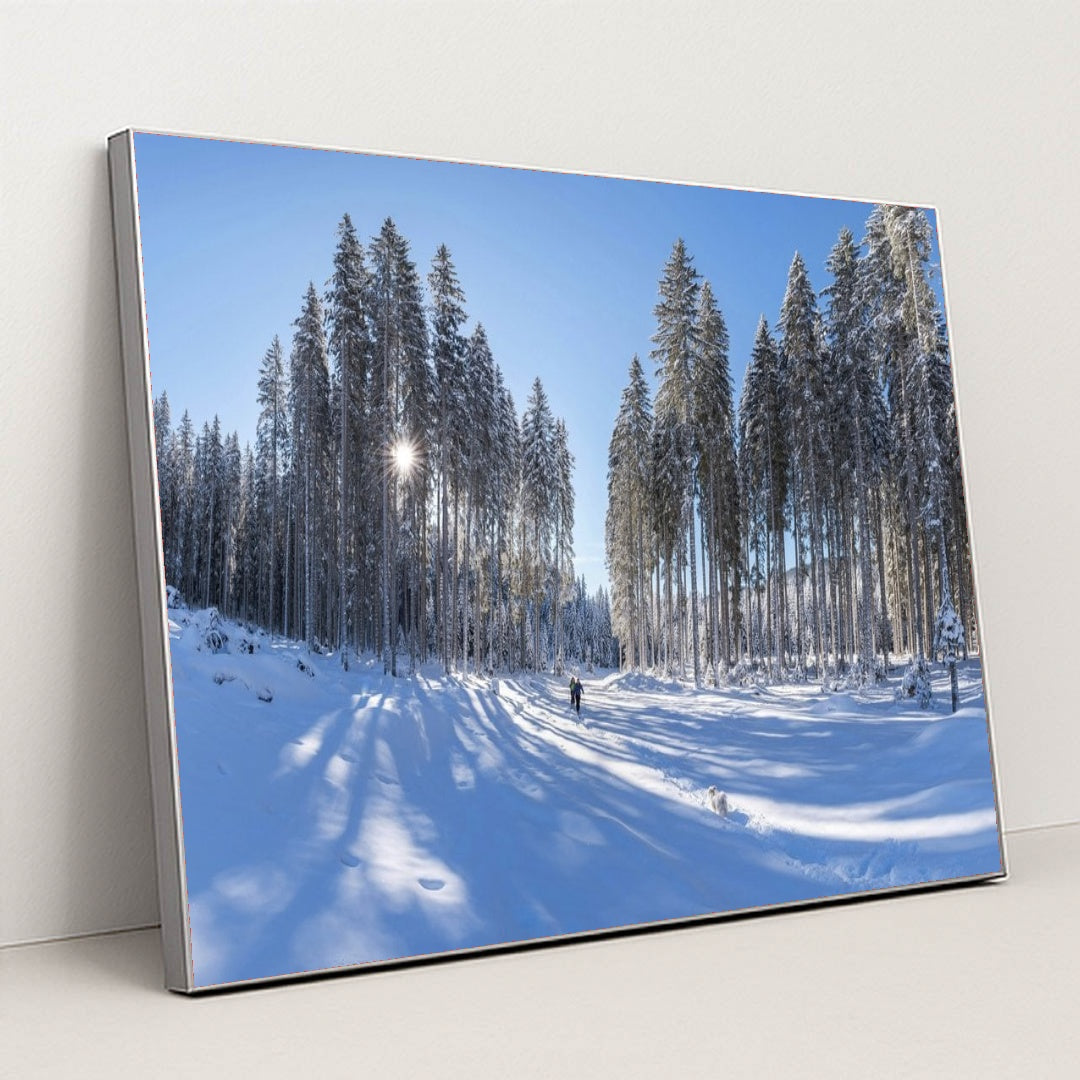 7090349604899 - Product Image