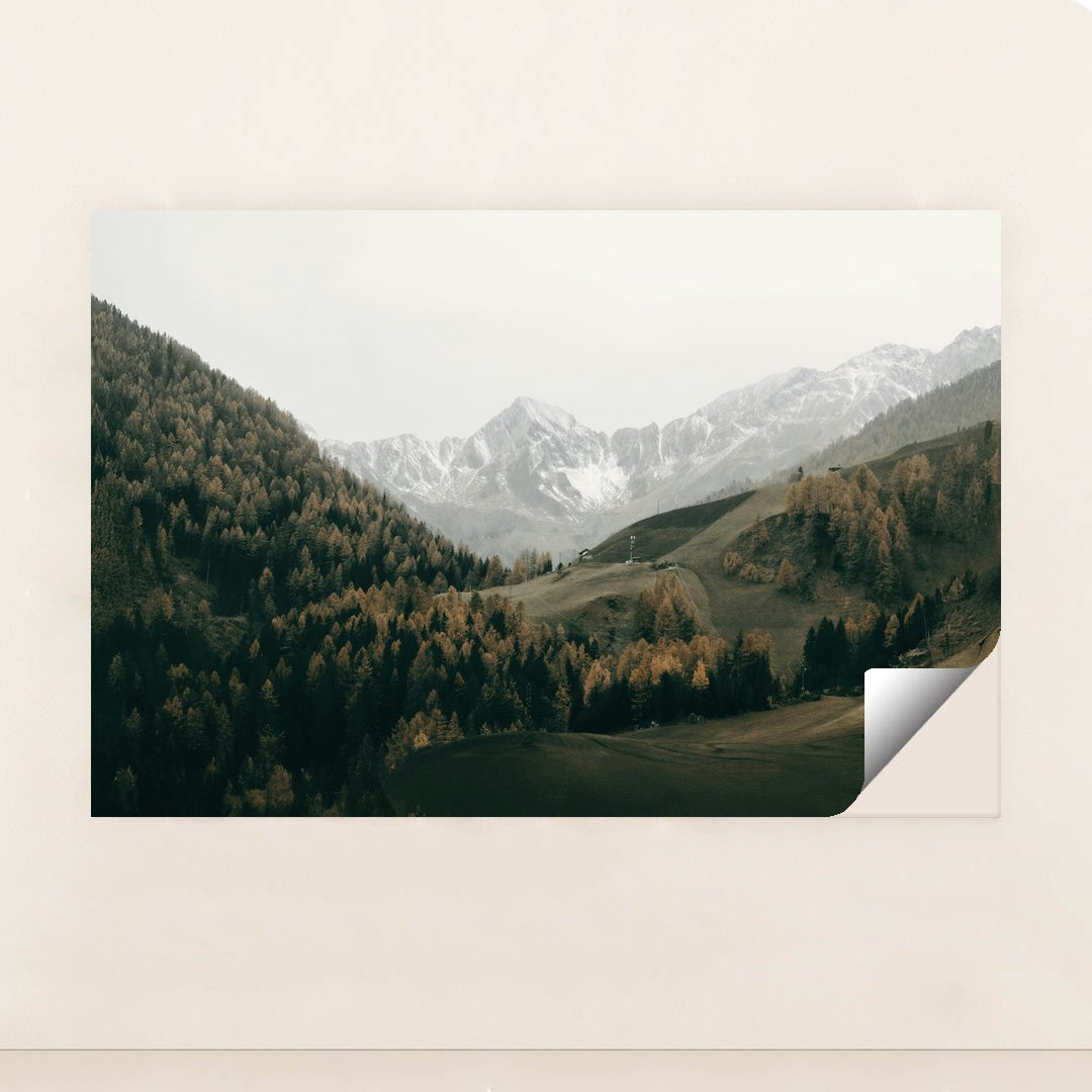 Italian snowy mountains and lush trees by Eberhard Grossgasteiger - Peeliez