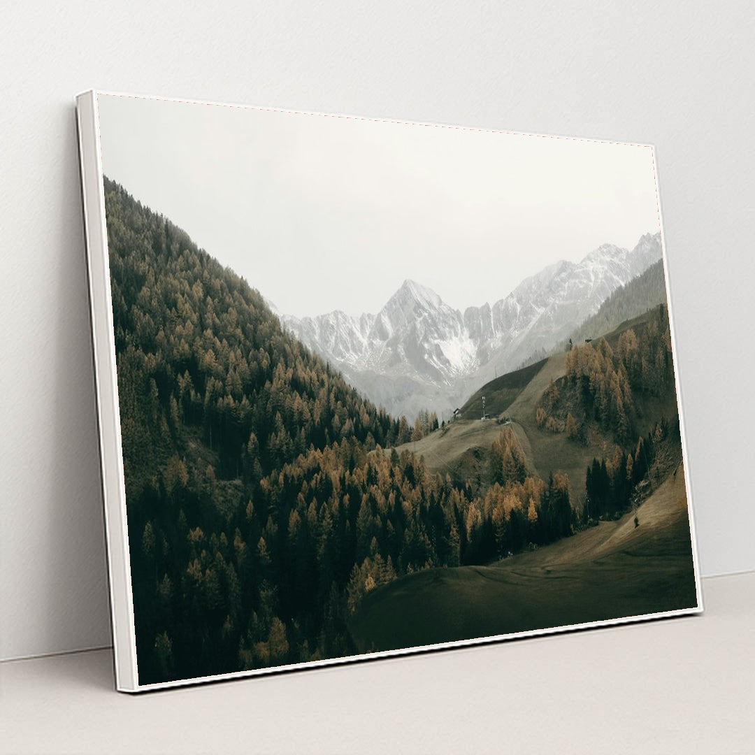 Italian snowy mountains and lush trees by Eberhard Grossgasteiger - White Frame Stretchiez