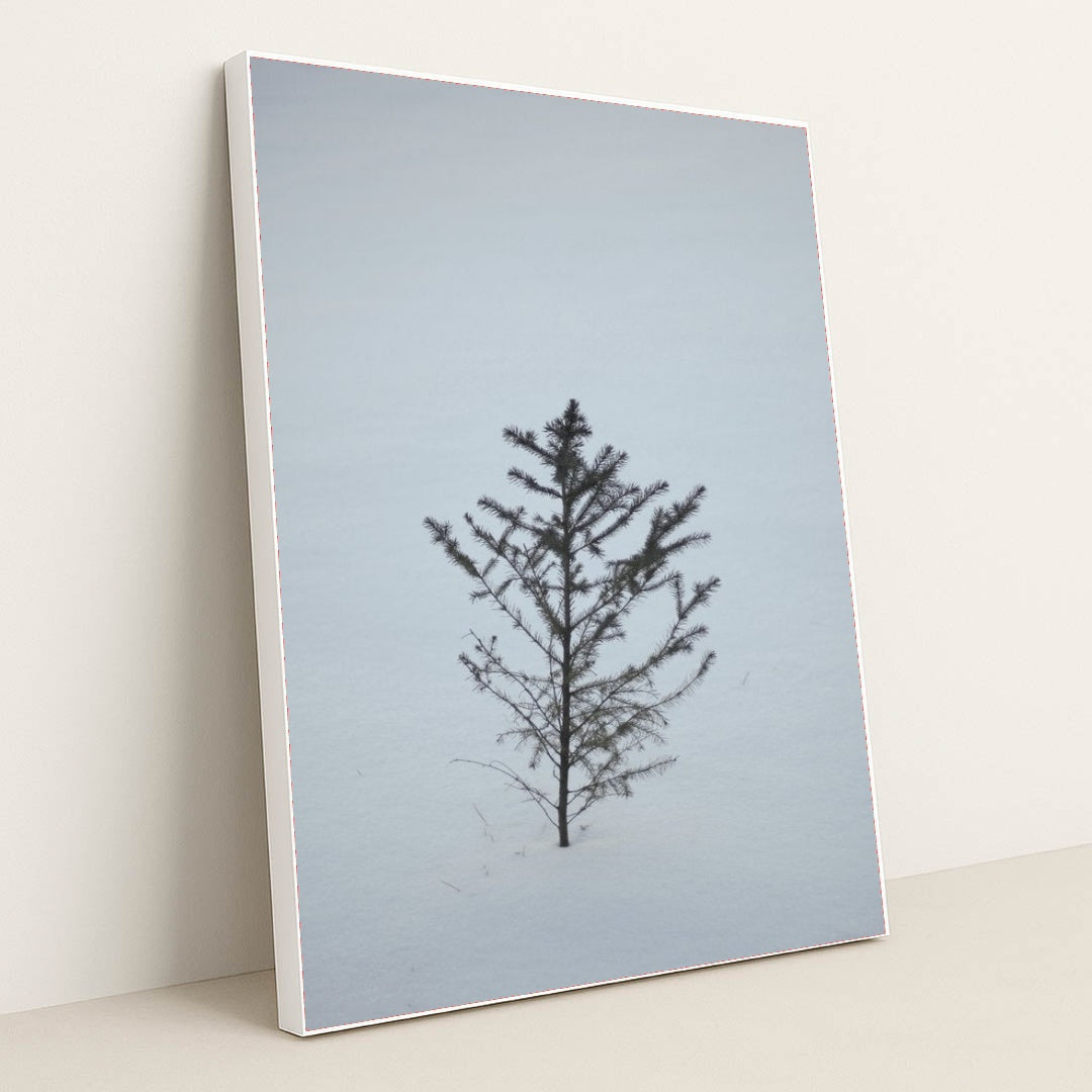 7090291212323 - Product Image