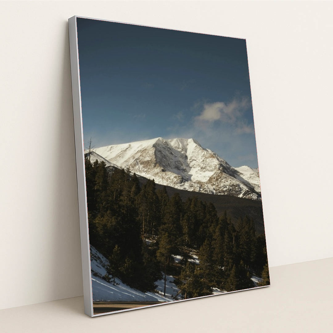 7090341904419 - Product Image