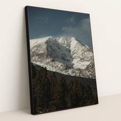 7090356420643 - Product Image