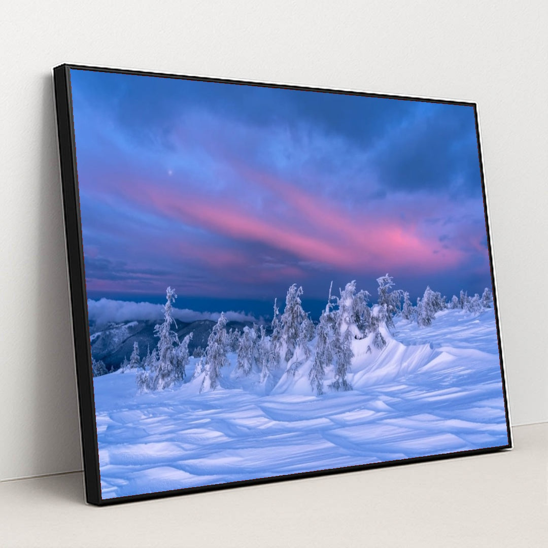 6363 - Product Image