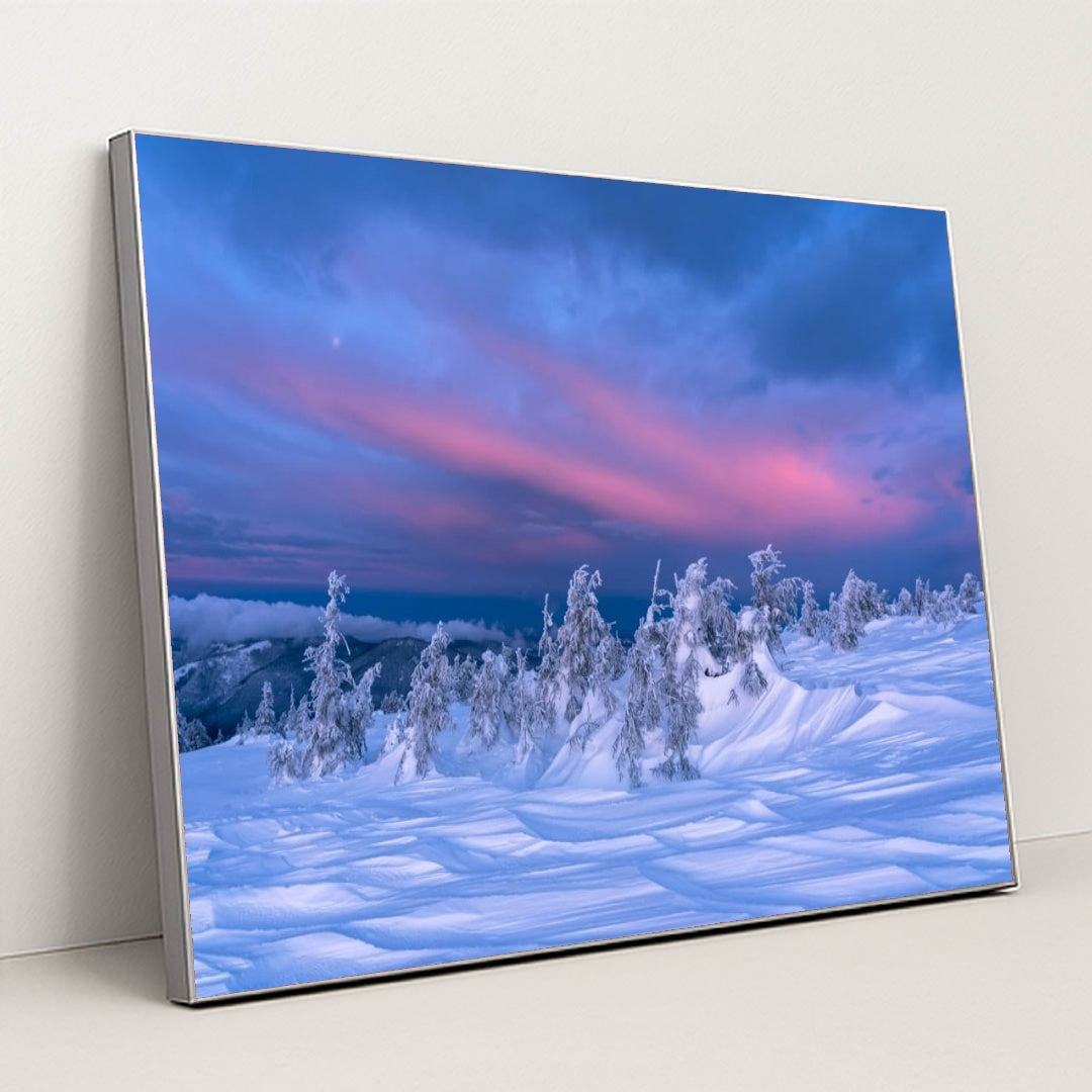 6363 - Product Image