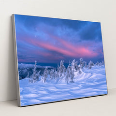 6363 - Product Image