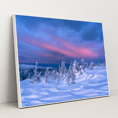 6363 - Product Image