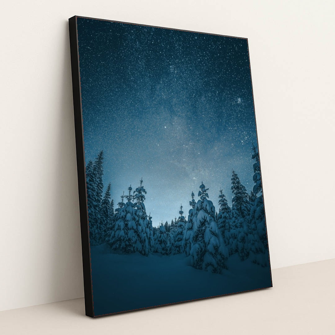 6353 - Product Image