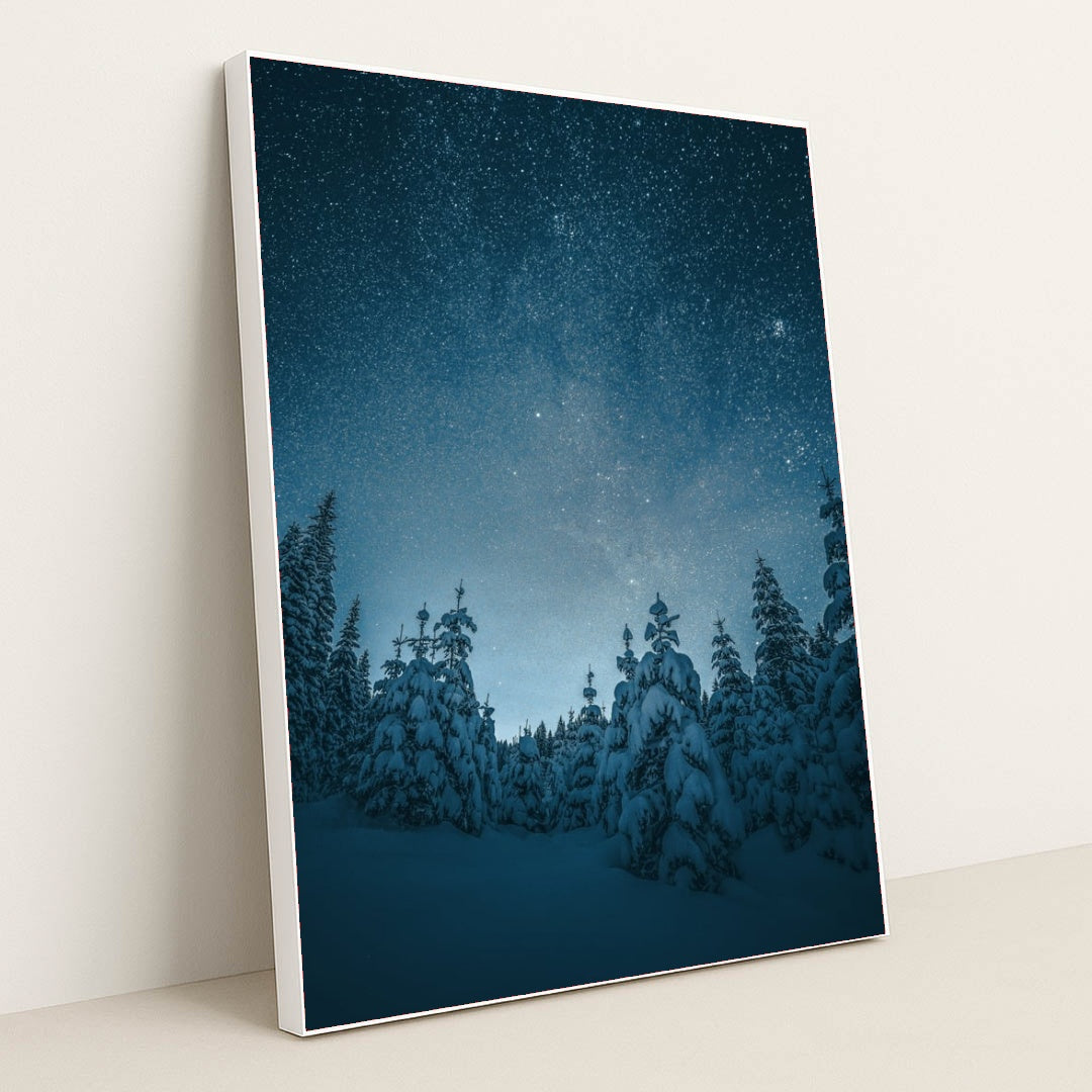 6353 - Product Image