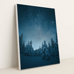 6353 - Product Image