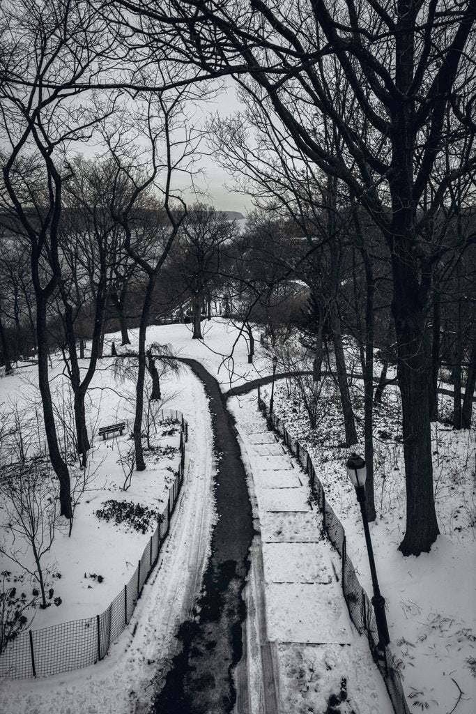 Sasha Zilov - Snow-covered pathway in a tranquil New York City park during winter. Captivating and serene scene.