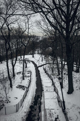 Sasha Zilov - Snow-covered pathway in a tranquil New York City park during winter. Captivating and serene scene.