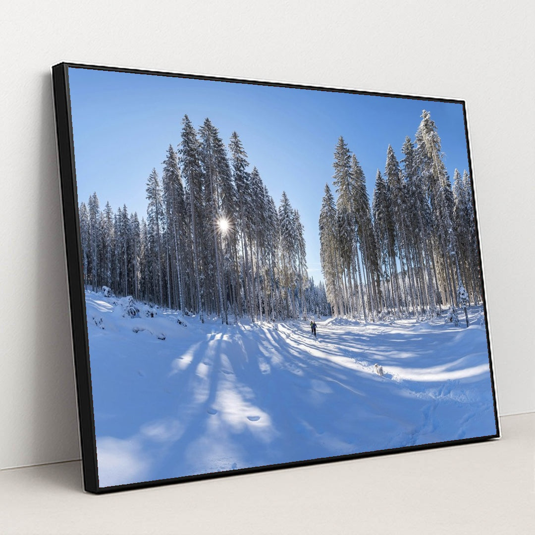 Sunlit Pine Trees in Snowy Winter Forest with Blue Sky by Krivec Ales - Black Frame Stretchiez