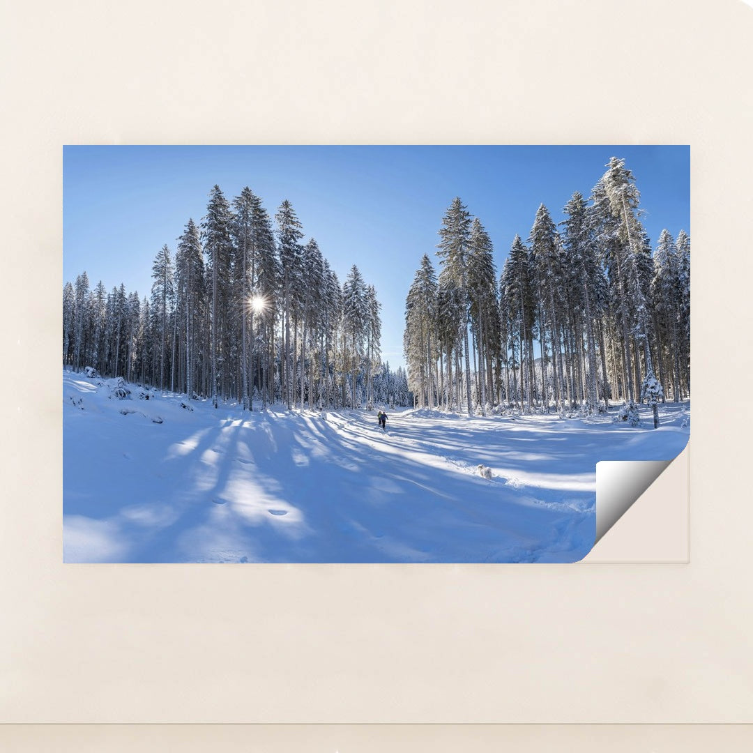 Sunlit Pine Trees in Snowy Winter Forest with Blue Sky by Krivec Ales - Peeliez
