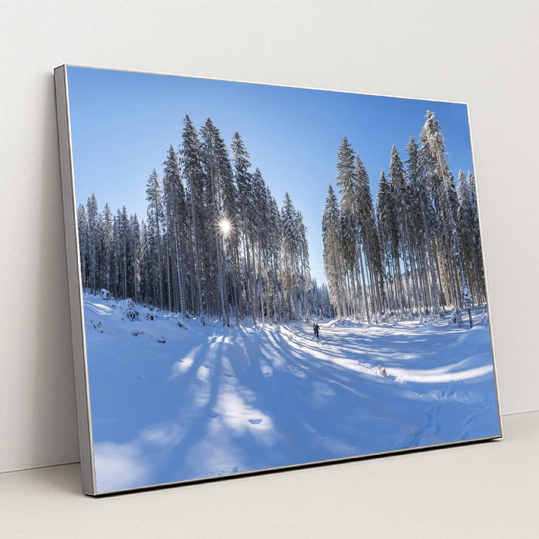 Sunlit Pine Trees in Snowy Winter Forest with Blue Sky by Krivec Ales - Silver Frame Stretchiez