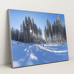 Sunlit Pine Trees in Snowy Winter Forest with Blue Sky by Krivec Ales - Silver Frame Stretchiez