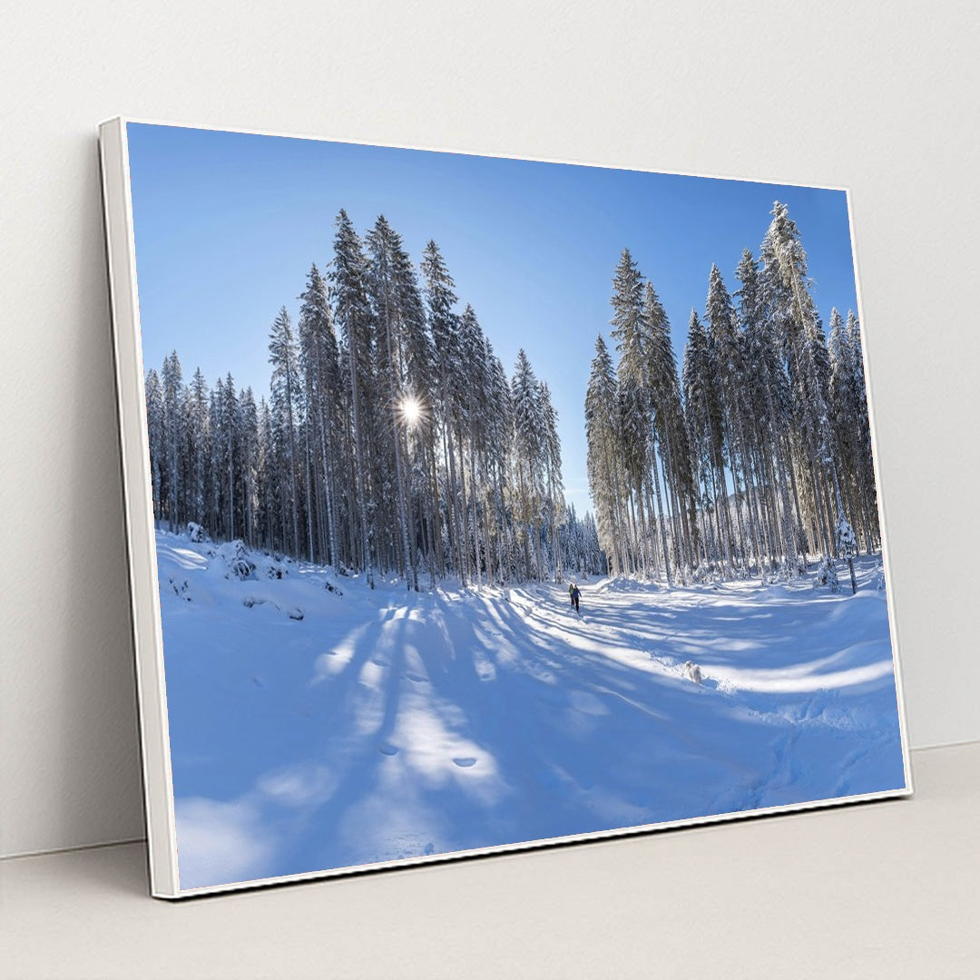 Sunlit Pine Trees in Snowy Winter Forest with Blue Sky by Krivec Ales - White Frame Stretchiez
