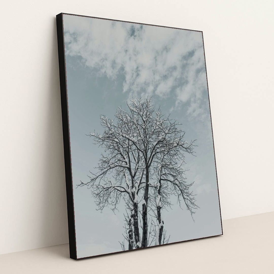 7090356846627 - Product Image