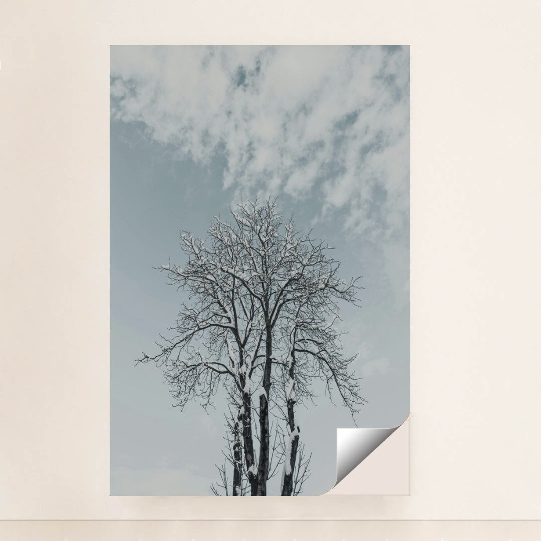 7090356846627 - Product Image