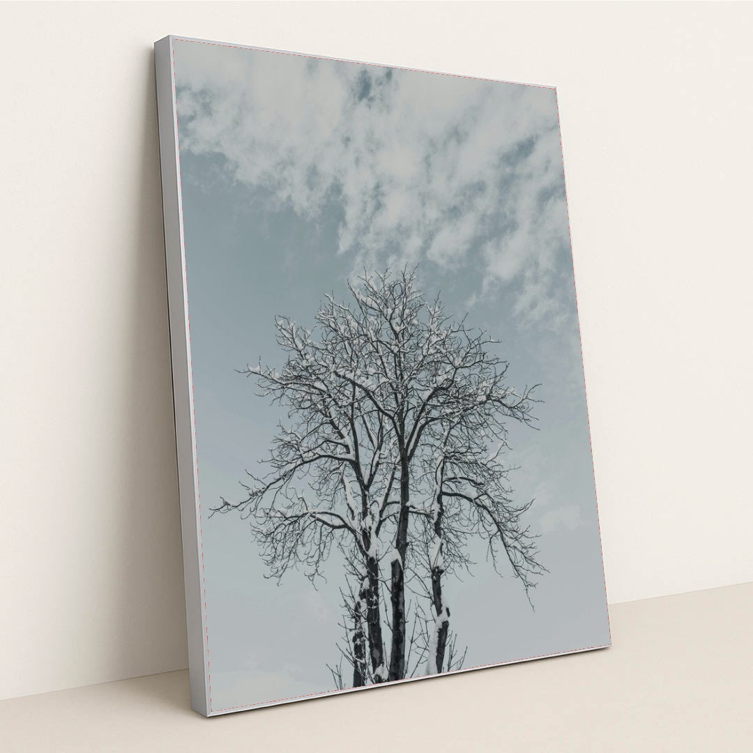 7090356846627 - Product Image